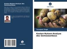 Borítókép a  Kosten-Nutzen-Analyse des Gemüseanbaus - hoz