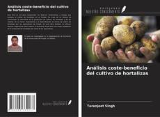 Buchcover von Análisis coste-beneficio del cultivo de hortalizas