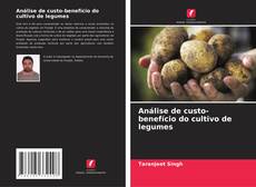 Análise de custo-benefício do cultivo de legumes kitap kapağı