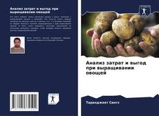 Buchcover von Анализ затрат и выгод при выращивании овощей