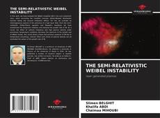 Couverture de THE SEMI-RELATIVISTIC WEIBEL INSTABILITY