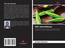 Bookcover of Soil macrofauna