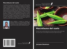 Bookcover of Macrofauna del suelo