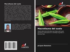 Bookcover of Macrofauna del suolo