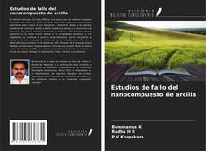 Bookcover of Estudios de fallo del nanocompuesto de arcilla