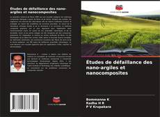 Portada del libro de Études de défaillance des nano-argiles et nanocomposites