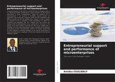 Bookcover of Entrepreneurial support and performance of microenterprises