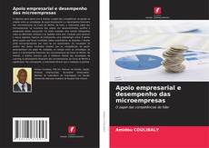 Capa do livro de Apoio empresarial e desempenho das microempresas 