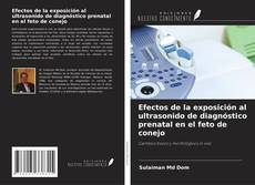 Copertina di Efectos de la exposición al ultrasonido de diagnóstico prenatal en el feto de conejo
