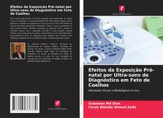 Capa do livro de Efeitos da Exposição Pré-natal por Ultra-sons de Diagnóstico em Feto de Coelhos 