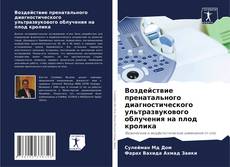 Обложка Воздействие пренатального диагностического ультразвукового облучения на плод кролика
