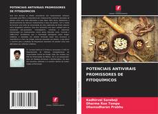 POTENCIAIS ANTIVIRAIS PROMISSORES DE FITOQUÍMICOS的封面