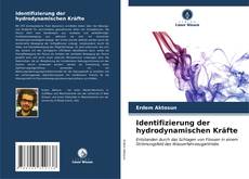 Identifizierung der hydrodynamischen Kräfte kitap kapağı
