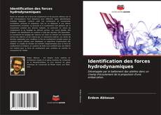 Buchcover von Identification des forces hydrodynamiques