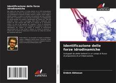 Portada del libro de Identificazione delle forze idrodinamiche