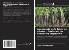 Copertina di Abundancia de la fauna de microartrópodos en los campos de vegetación