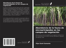 Bookcover of Abundancia de la fauna de microartrópodos en los campos de vegetación