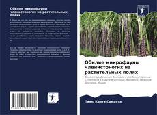 Copertina di Обилие микрофауны членистоногих на растительных полях