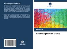 Buchcover von Grundlagen von QSAR