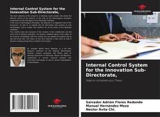 Copertina di Internal Control System for the Innovation Sub-Directorate,