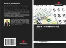 Copertina di Credit in microfinance