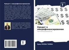 Кредит в микрофинансировании kitap kapağı