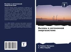 Couverture de Вызовы в автономной энергосистеме