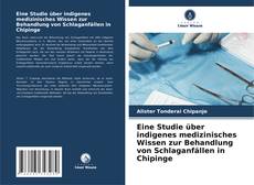 Buchcover von Eine Studie über indigenes medizinisches Wissen zur Behandlung von Schlaganfällen in Chipinge