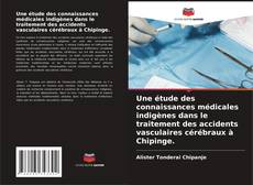 Bookcover of Une étude des connaissances médicales indigènes dans le traitement des accidents vasculaires cérébraux à Chipinge.