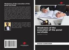 Copertina di Weakness of the execution of the penal servitude