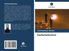 Bookcover of Gasfackelkamine