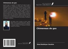 Buchcover von Chimeneas de gas