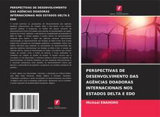 PERSPECTIVAS DE DESENVOLVIMENTO DAS AGÊNCIAS DOADORAS INTERNACIONAIS NOS ESTADOS DELTA E EDO的封面