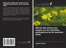 Borítókép a  Efecto del estrés por sequía en los distintos parámetros de la mostaza india - hoz