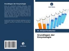 Grundlagen der Enzymologie kitap kapağı