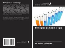 Borítókép a  Principios de Enzimología - hoz