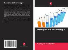 Обложка Princípios de Enzimologia