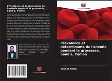 Copertina di Prévalence et déterminants de l'anémie pendant la grossesse, Sana'a, Yémen