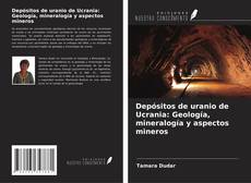 Depósitos de uranio de Ucrania: Geología, mineralogía y aspectos mineros的封面
