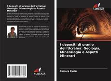 I depositi di uranio dell'Ucraina: Geologia, Mineralogia e Aspetti Minerari kitap kapağı