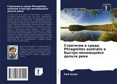 Copertina di Стратегии в среде Phragmites australis в быстро меняющейся дельте реки