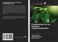 Buchcover von Fundamentos de los estudios medioambientales