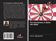 Bookcover of Far funzionare il Delta del Niger