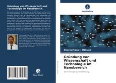 Bookcover of Gründung von Wissenschaft und Technologie im Nanobereich