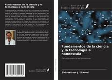 Buchcover von Fundamentos de la ciencia y la tecnología a nanoescala