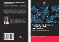 Fundação da Ciência e Tecnologia em Nanoescala的封面