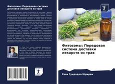 Bookcover of Фитосомы: Передовая система доставки лекарств из трав