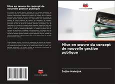 Bookcover of Mise en œuvre du concept de nouvelle gestion publique