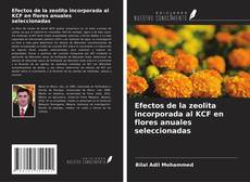 Capa do livro de Efectos de la zeolita incorporada al KCF en flores anuales seleccionadas 