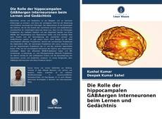 Die Rolle der hippocampalen GABAergen Interneuronen beim Lernen und Gedächtnis kitap kapağı